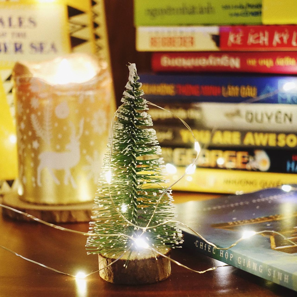 Dây Đèn Fairy Light Trang Trí 10m - 50 Bóng