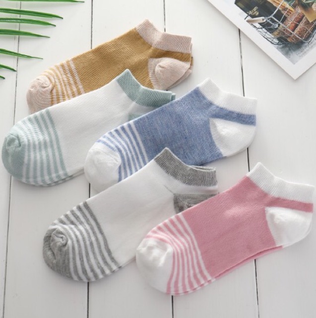 Tất nữ cổ cao, vớ cổ ngắn nữ 5 đôi đủ màu vải cotton co giãn họa tiết dễ thương TC22 - VHT SHOP