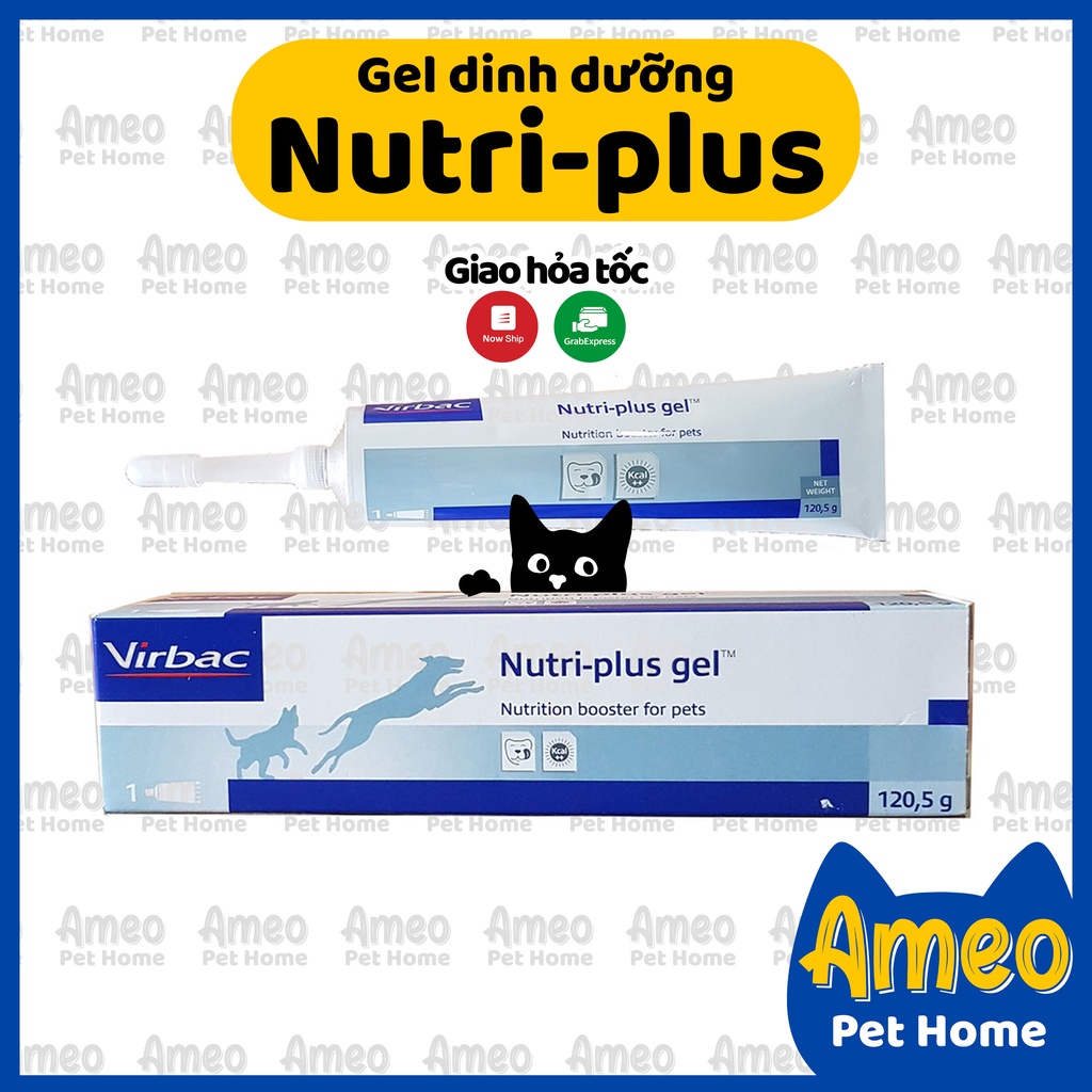 Gel dinh dưỡng cho mèo Virbac date 2023 | Nutri Plus Gel dinh dưỡng chó mèo