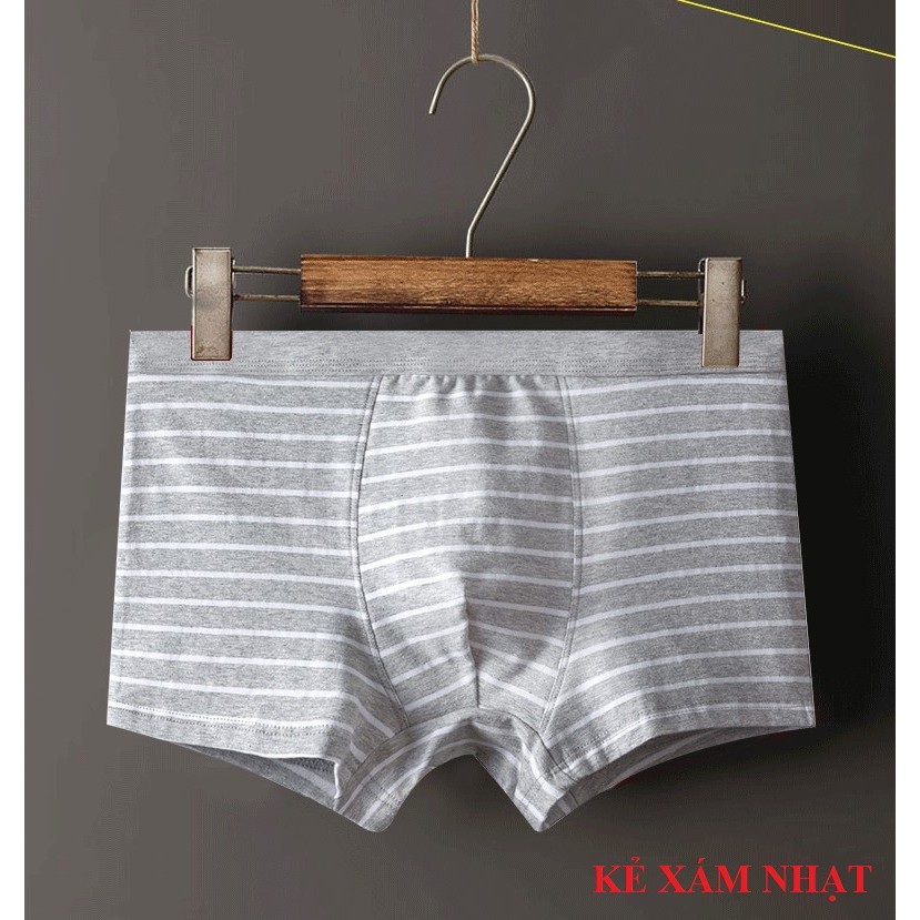 Quần lót nam . Quần sịp đùi nam dáng boxer , vải cotton dệt kim không đường may co giãn 4 chiều AVISHOP 389