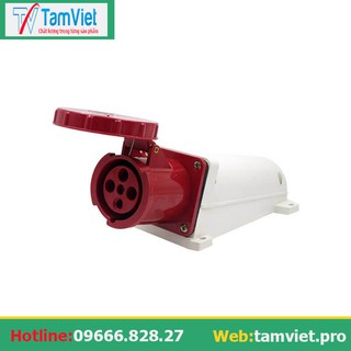 Ổ cắm công nghiệp gắn tường 3 pha 63A 4 chấu (cố định)[XẢKHO]