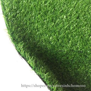 [ 2M x 0,5M ] cỏ nhựa nhân tạo 2cm