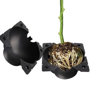 HỘP ƯƠM TẠO RỄ CÂY SIZE M