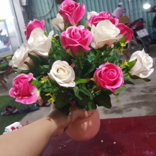 Combo Hoa hồng đà lạt và hoa điểm