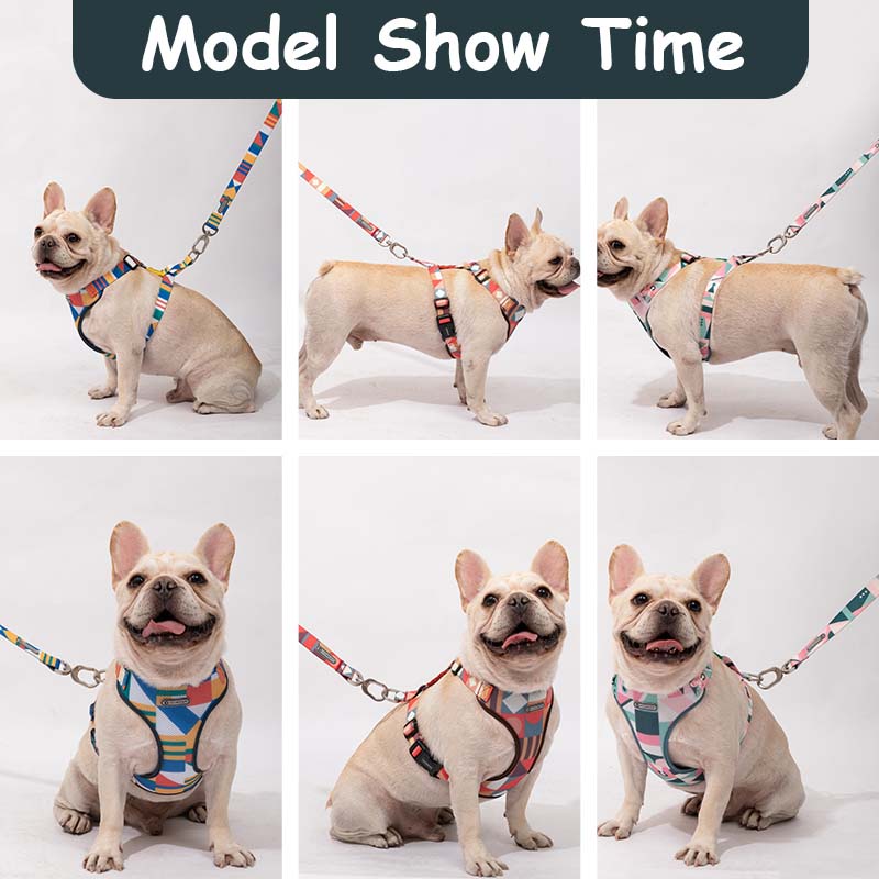 HamshMoc Bộ Yếm Và Dây Dắt Mềm Thoáng Khí Có Thể Điều Chỉnh Cho Thú Cưng