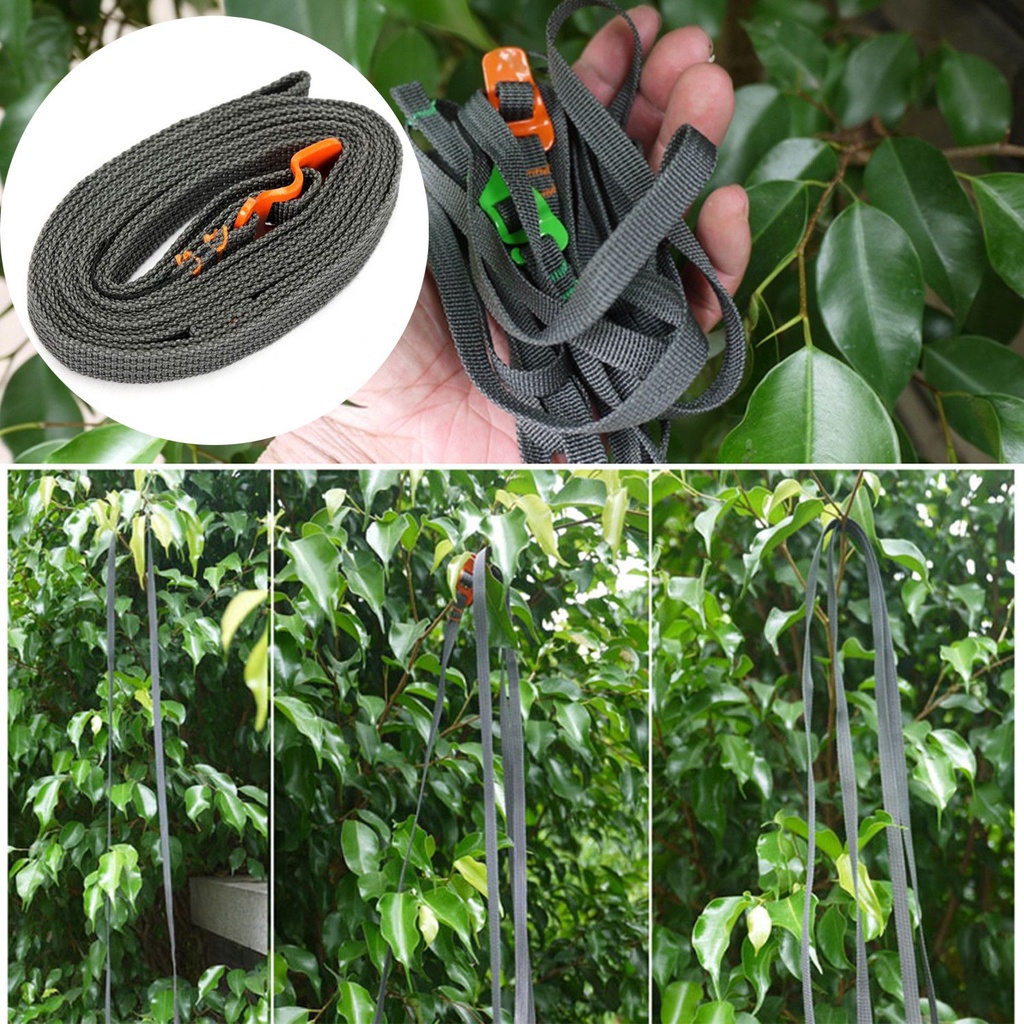 Dây đai ràng buộc hàng hóa bằng nylon bền tiện dụng cho xe máy/xe đạp