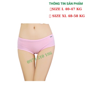 Combo 10 Quần Lót Nữ Cotton Pulo