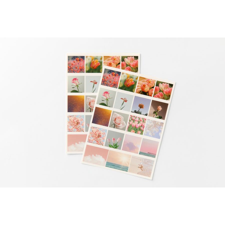 Set 2 Tấm Sticker ARTBOX Hàn Quốc Hình Vẽ Hoa Màu Hồng