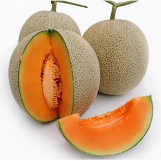 Hạt giống dưa lưới F1 vàng / xanh - (1g)