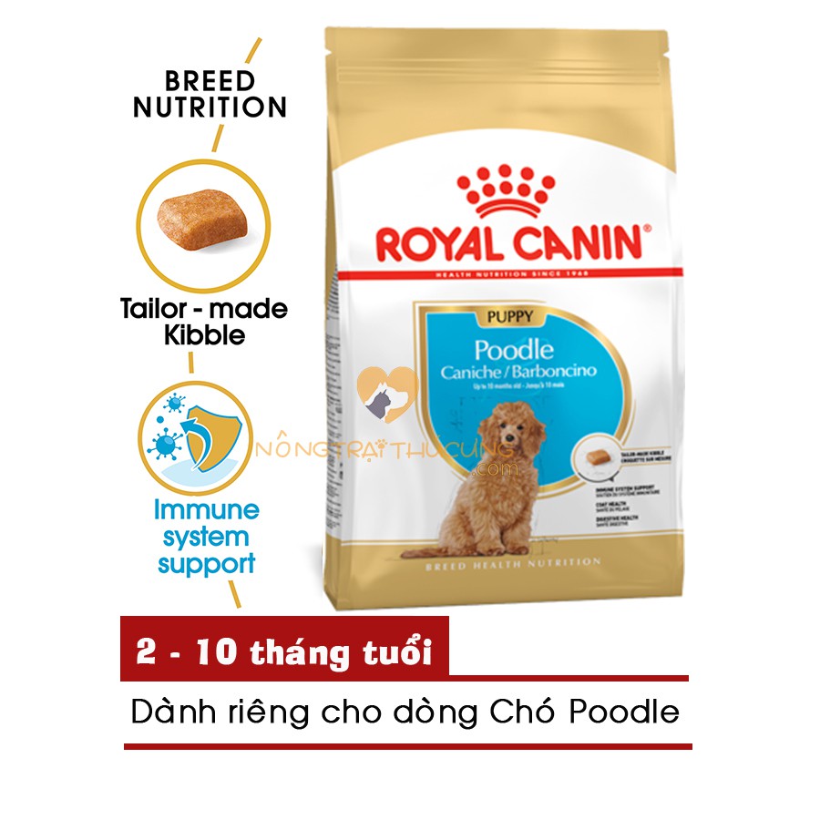Thức ăn chó con Royal Canin POODLE PUPPY