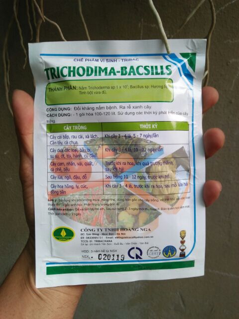 NẤM ĐỐI KHÁNG TRICHODERMA, TÚI 100G