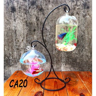 Bể cá treo khung đôi 2 nhánh