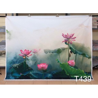 Phông nền chụp ảnh mã t439