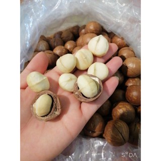 Hạt Macca sấy khô ăn liền (loại1)