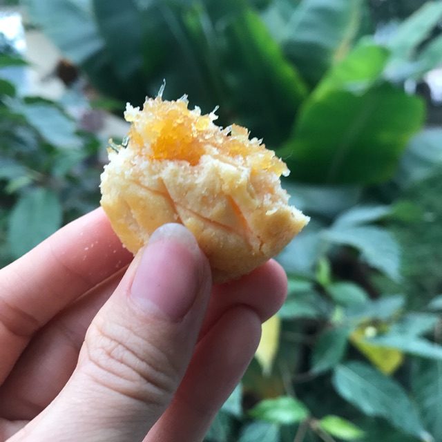 Combo Bánh dứa + bmhc handmade