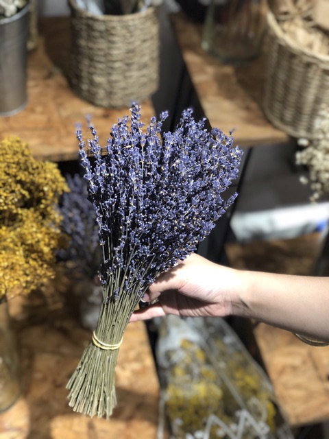 Hoa lavender khô, oải hương khô nhập Pháp