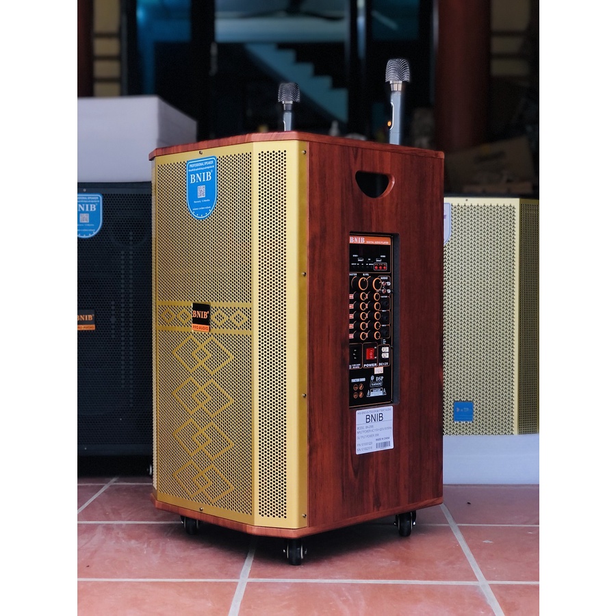 Loa kéo BNIB BASS 40, 3 đường tiếng Tặng 2 micro cao cấp