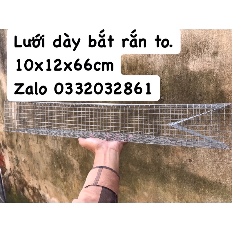 Bẫy rắn độc lưới phân 2
