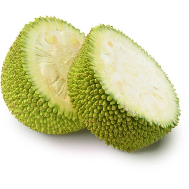 TRÁI MÍT NON.(khách sỉ inbox) nếu khách đặc không đc cứ inbox cho shop nhé