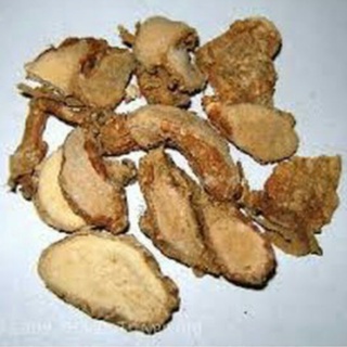 Địa Liền Tươi 01kg sp5