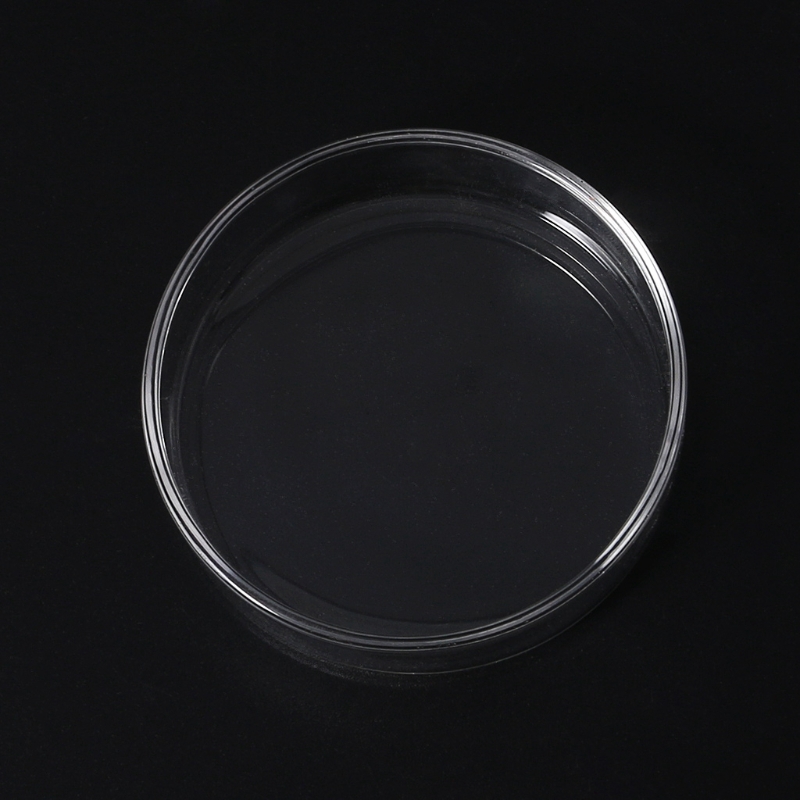 Dĩa hình tròn bằng thủy tinh cho cá nhỏ và tôm ăn trong hồ