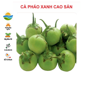 Hạt giống Cà Pháo Xanh 1gram
