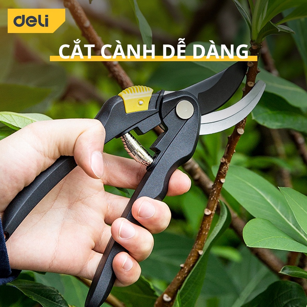 Kéo Cắt Tỉa Cành Cây Deli Chính Hãng 8inch - Lưỡi Thép Sắc Bén, Siêu Bền, Tay Cầm Đệm Cao Su An Toàn, Chắc Chắn DL580201