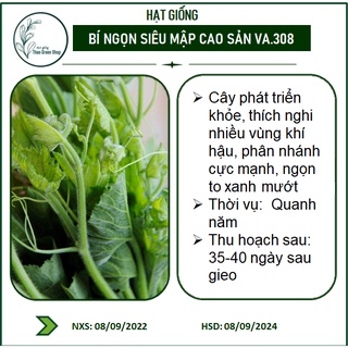 Hạt giống Bí Siêu Ngọn 20 gr