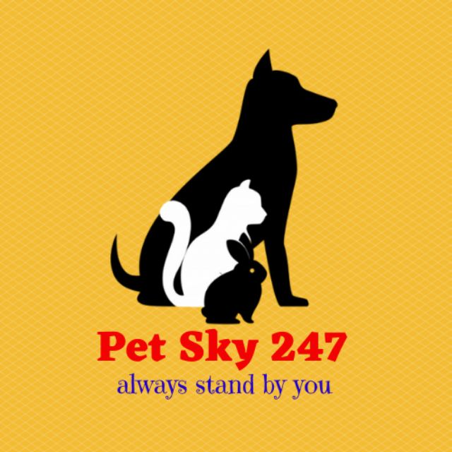 Pet Sky 247