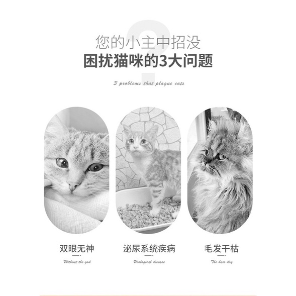 Súp thưởng cho mèo Masti soup thưởng cho mèo tăng cân tăng cường ăn uống Surica MT09