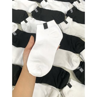 Vớ Trơn Cotton Combo 2 đôi