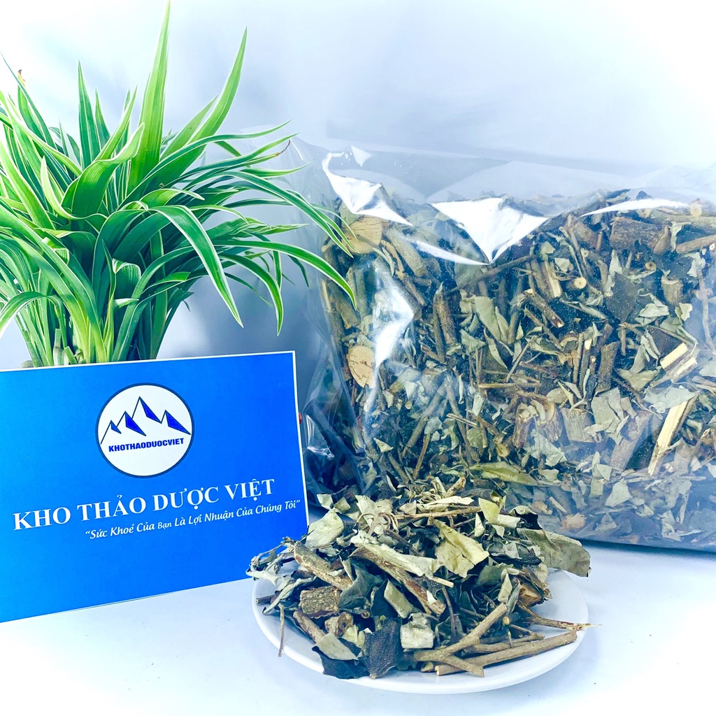 Khổ Sâm khô hàng đẹp chất lượng sạch, thơm, mới | BigBuy360 - bigbuy360.vn