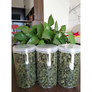 Nụ/hoa tam thất