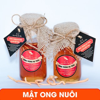 Mật Ong Nuôi Ngâm Đông Trùng Hạ Thảo - Giúp Ăn Ngon, Ngủ Ngon Nâng Cao Sức Đề Kháng Giải Độc Gan T&T