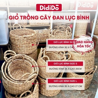 Giỏ đựng đồ trồng cây đan lục bình các size