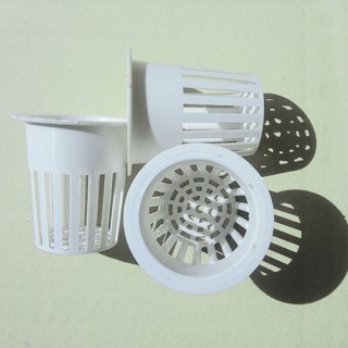 20 RỌ THỦY CANH TRỒNG CÂY - RAU