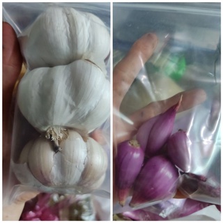 Hành tím Lý Sơn/tỏi Bắc Hà Nội