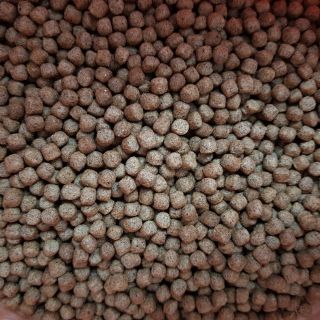 Cám cá công nghiệp (hạt 3mm-5kg)