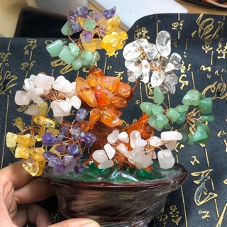 💥 giá cực rẻ 💥 cây đá phong thuỷ ngũ sắc