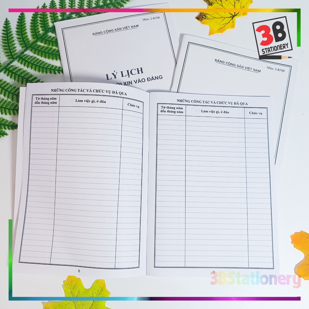 Lý lịch của người xin vào Đảng mẫu 02-KNĐ