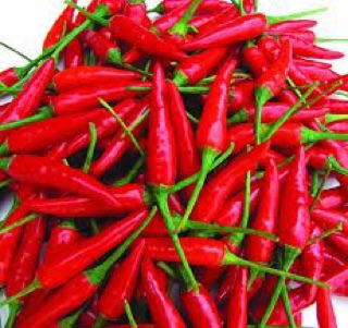 Cách Trồng Hạt Giống ớt chỉ thiên (ớt hiểm), ớt trái chổng ngược - Ớt Xiêm Xanh, Ớt 7 Màu✔️MUA NHIỀU GIẢM GIÁ