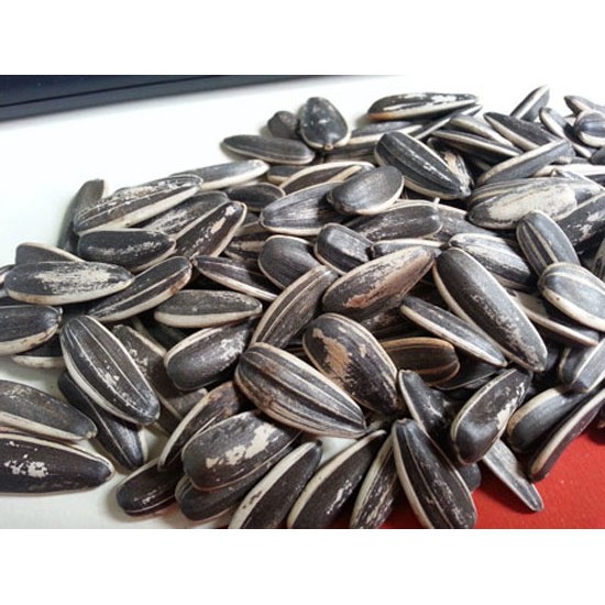 1 kg Hạt hướng dương sấy chín loại 1