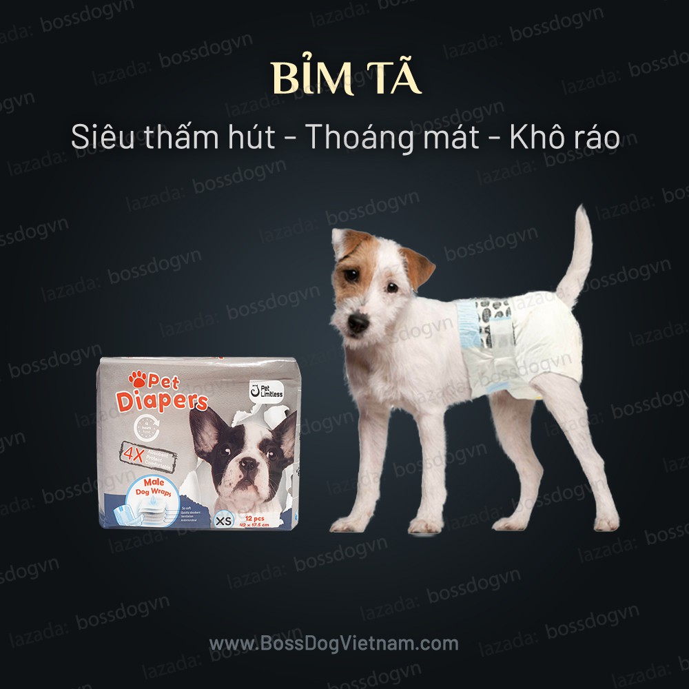 Bỉm Pet Diapers dành cho cún - Dành cho mọi dòng cún Pom, Poodle, Border Collie, Husky, Bull,... | BossDog