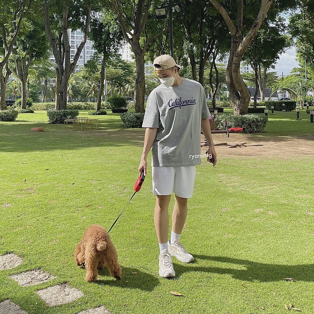 RYAN - Áo thun nam NEW CALI xám ngắn tay vải cotton cổ bo tròn trong cách Hàn Quốc đi làm đi chơi đi học