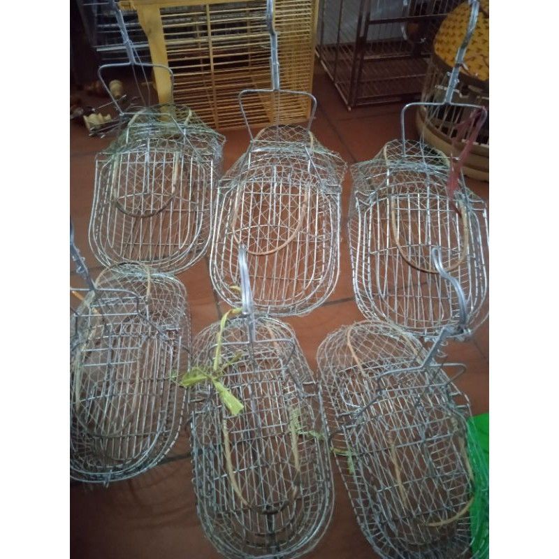 Lồng bẫy chào mào