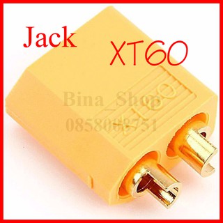 Jack XT60 đực cái loại thường