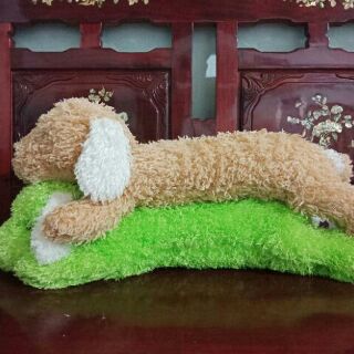 Gấu bông khách le