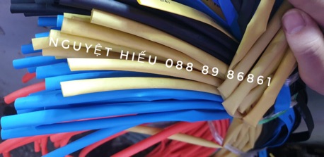 10 gen co phi 6
