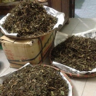 Combo 5kg chè vằng sẻ sao khô
