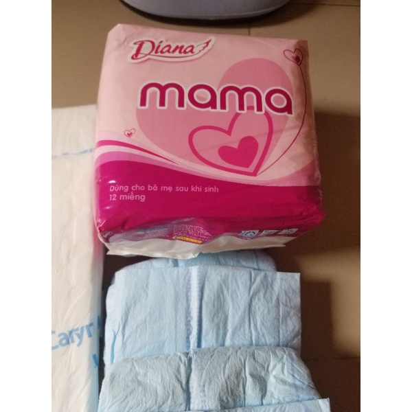 combo 20 quần giấy 2 băng mama 2 lót sản phụ 2 tã người già.